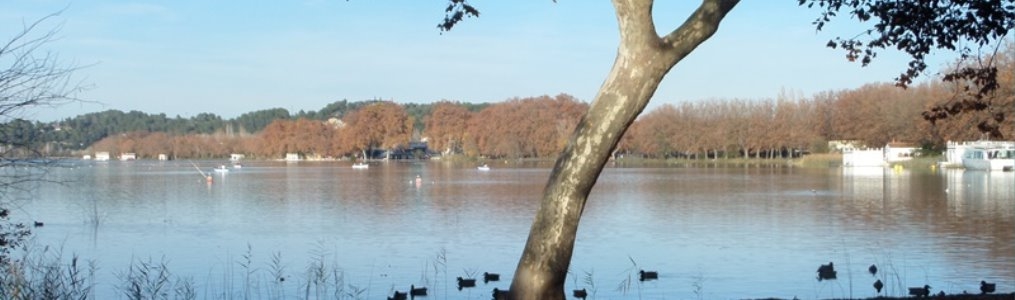 18 BANYOLES