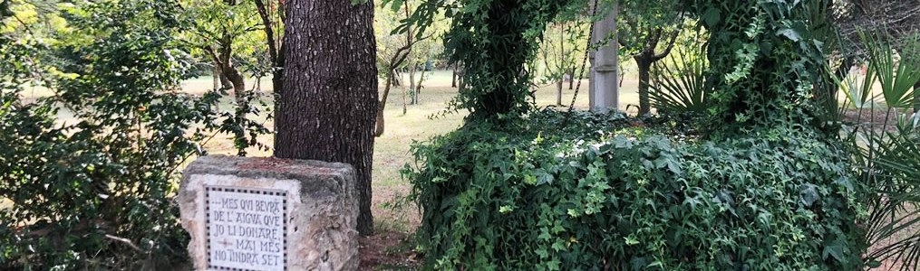 81 POZO JACOB. FINCA CASA NOSTRA